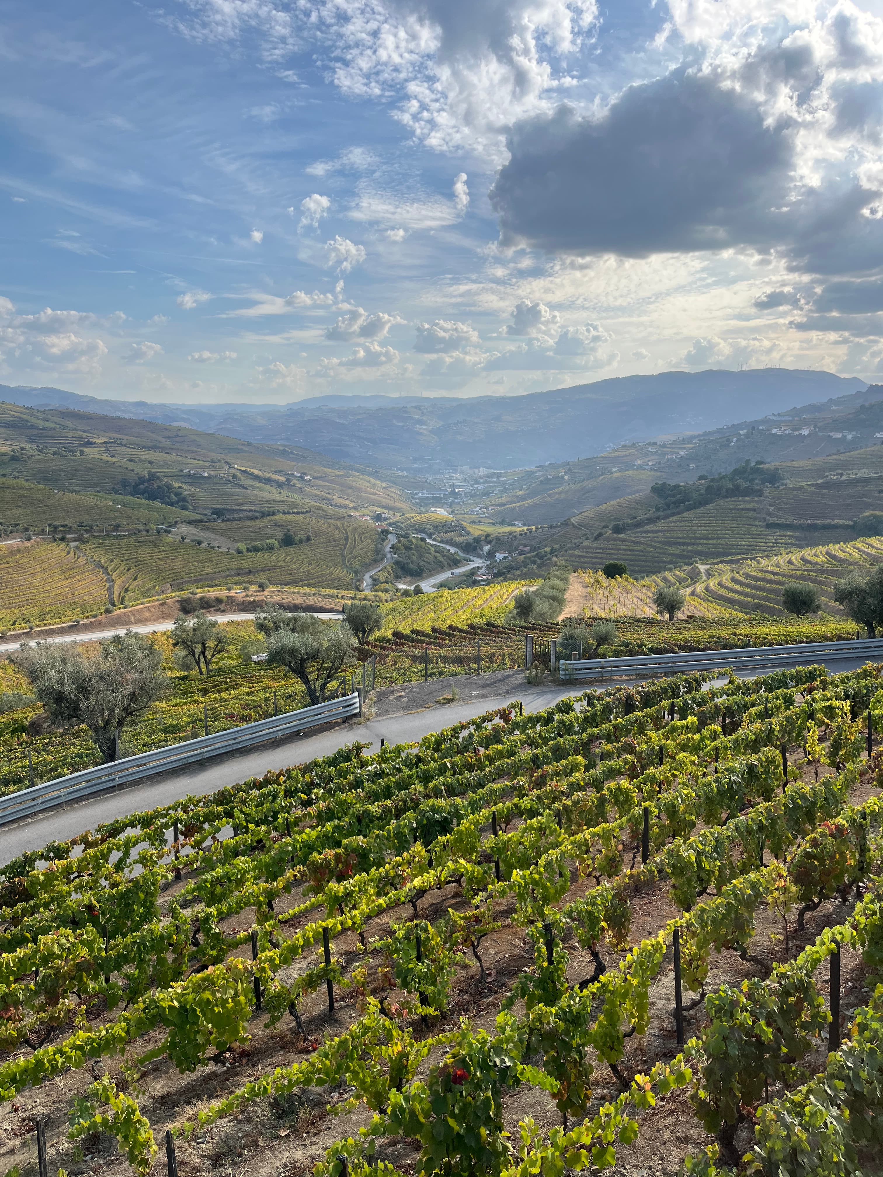 Douro Valley river and vineyards