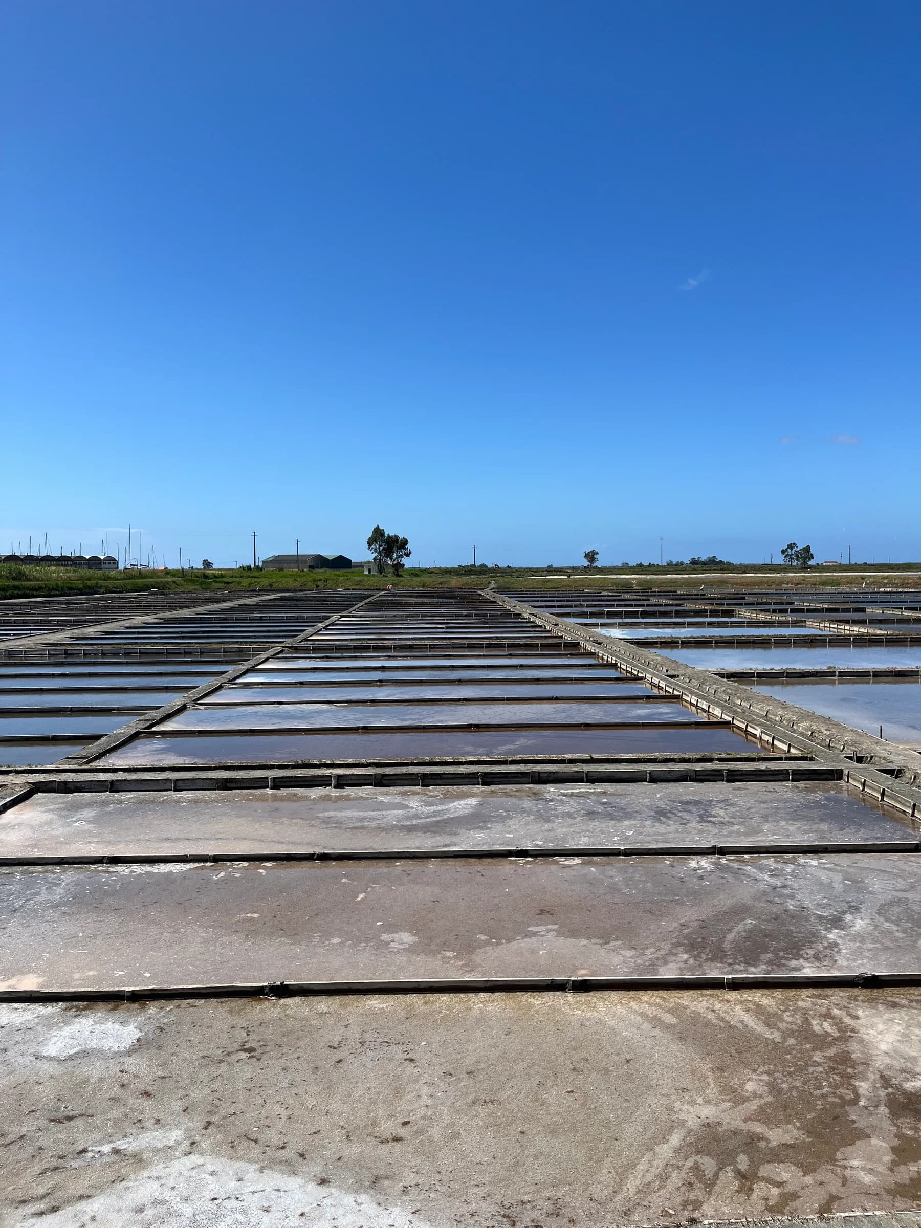 Aveiro's salt pans