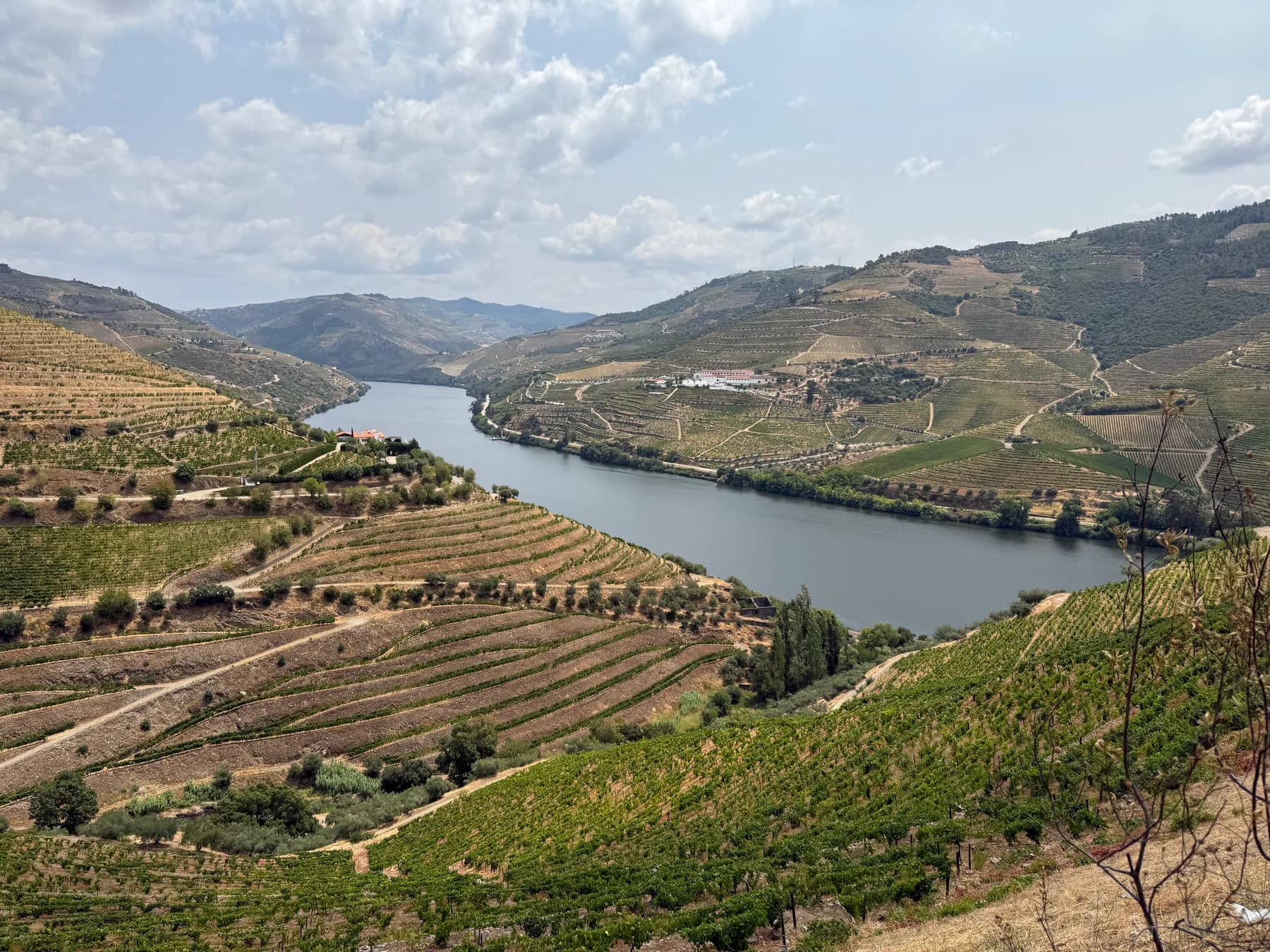 The Douro River and its vineyards