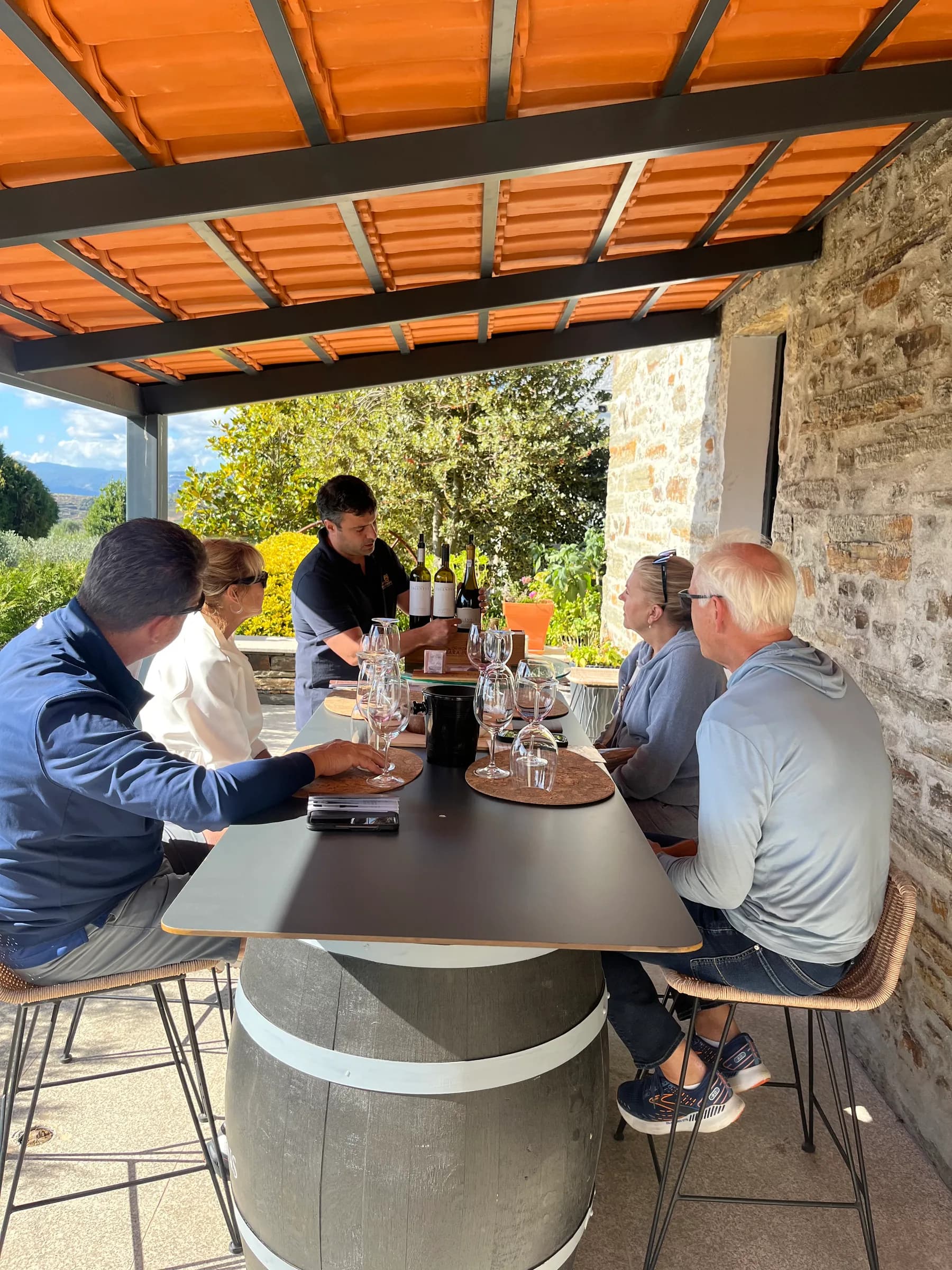 Wine tasting in the Douro