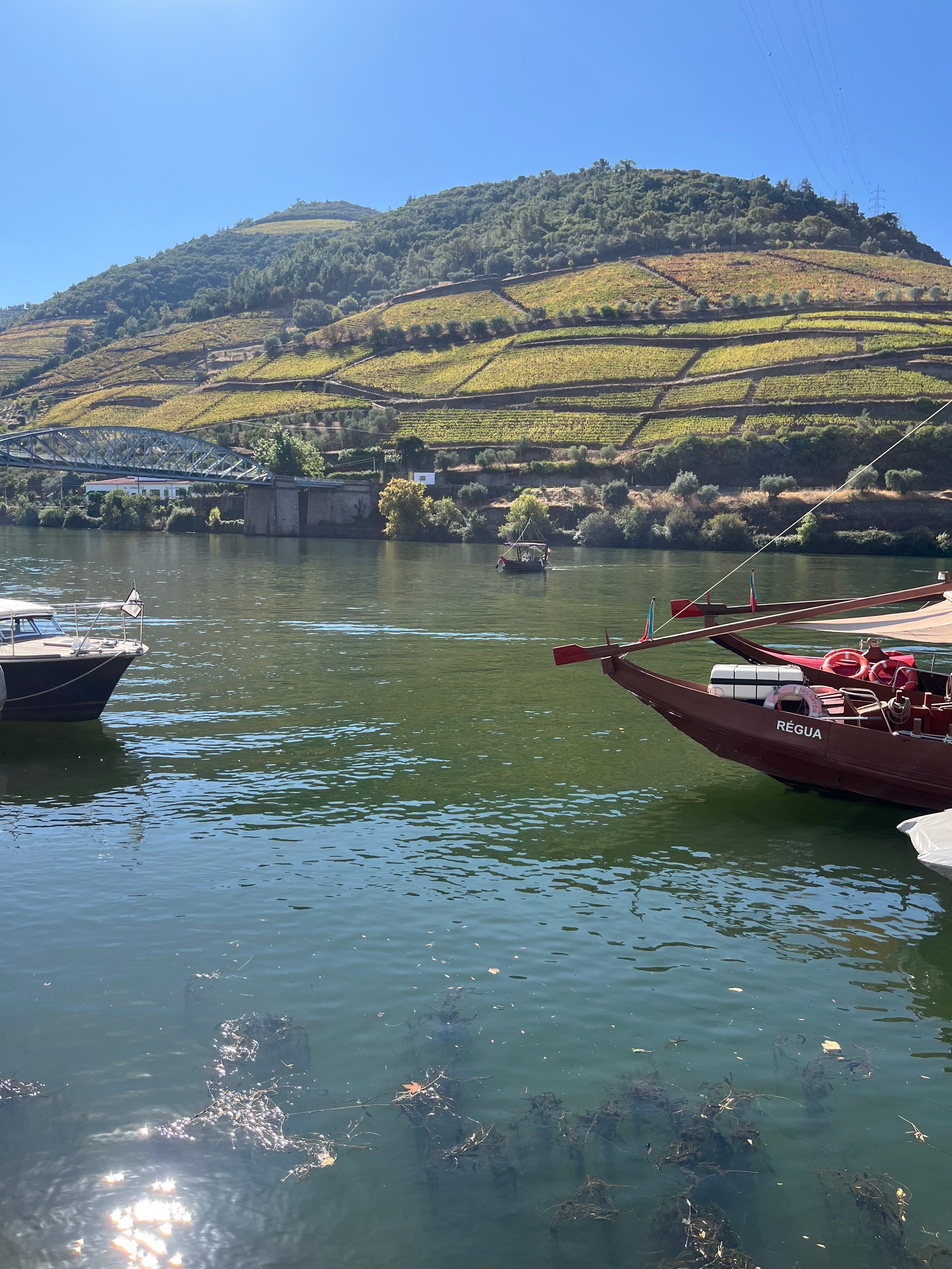 Douro Valley real tour photo 2